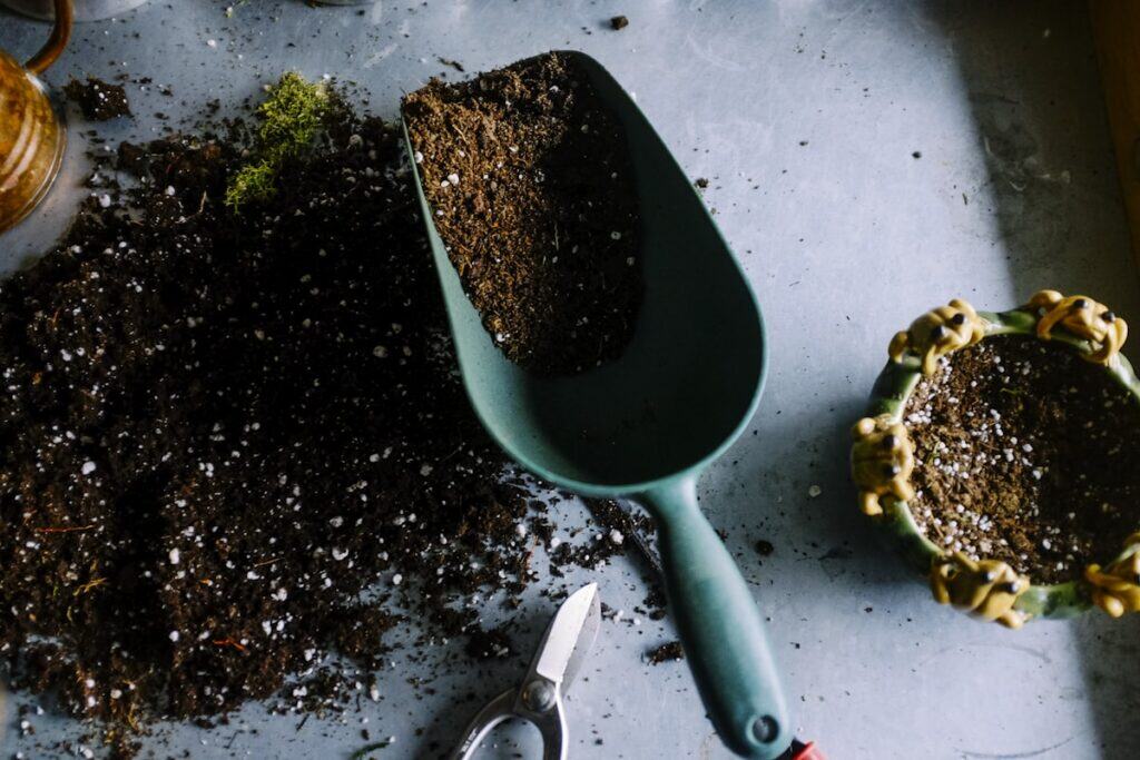 No-Till Gardening: How to Grow More by Digging Less