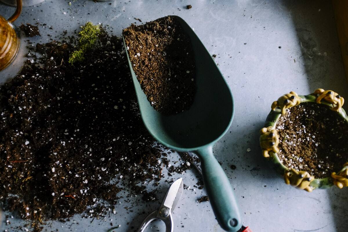 Hands in rich garden soil